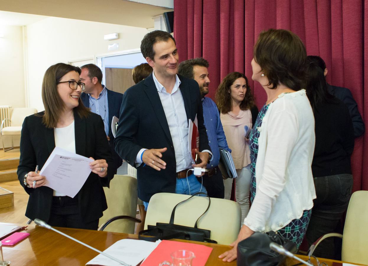 Primera sesión plenaria del Ayuntamiento de Logroño