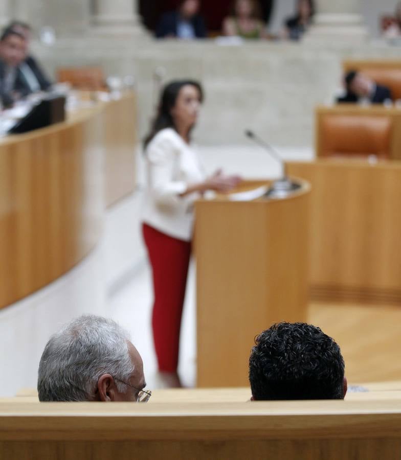 Ceniceros pierde la primera votación en el Parlamento riojano