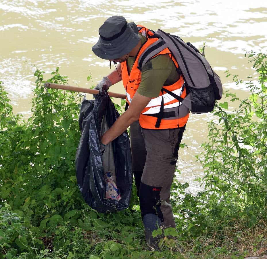 Voluntarios limpian el Ebro