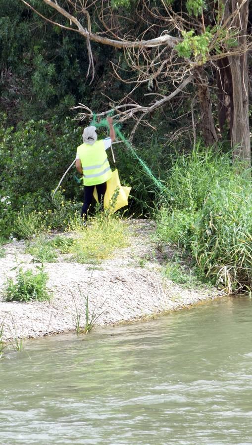 Voluntarios limpian el Ebro