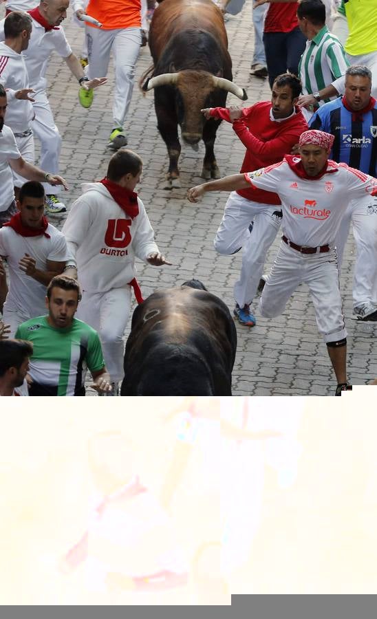 Los &#039;Fuente Ymbro&#039; hacen gala de su nobleza