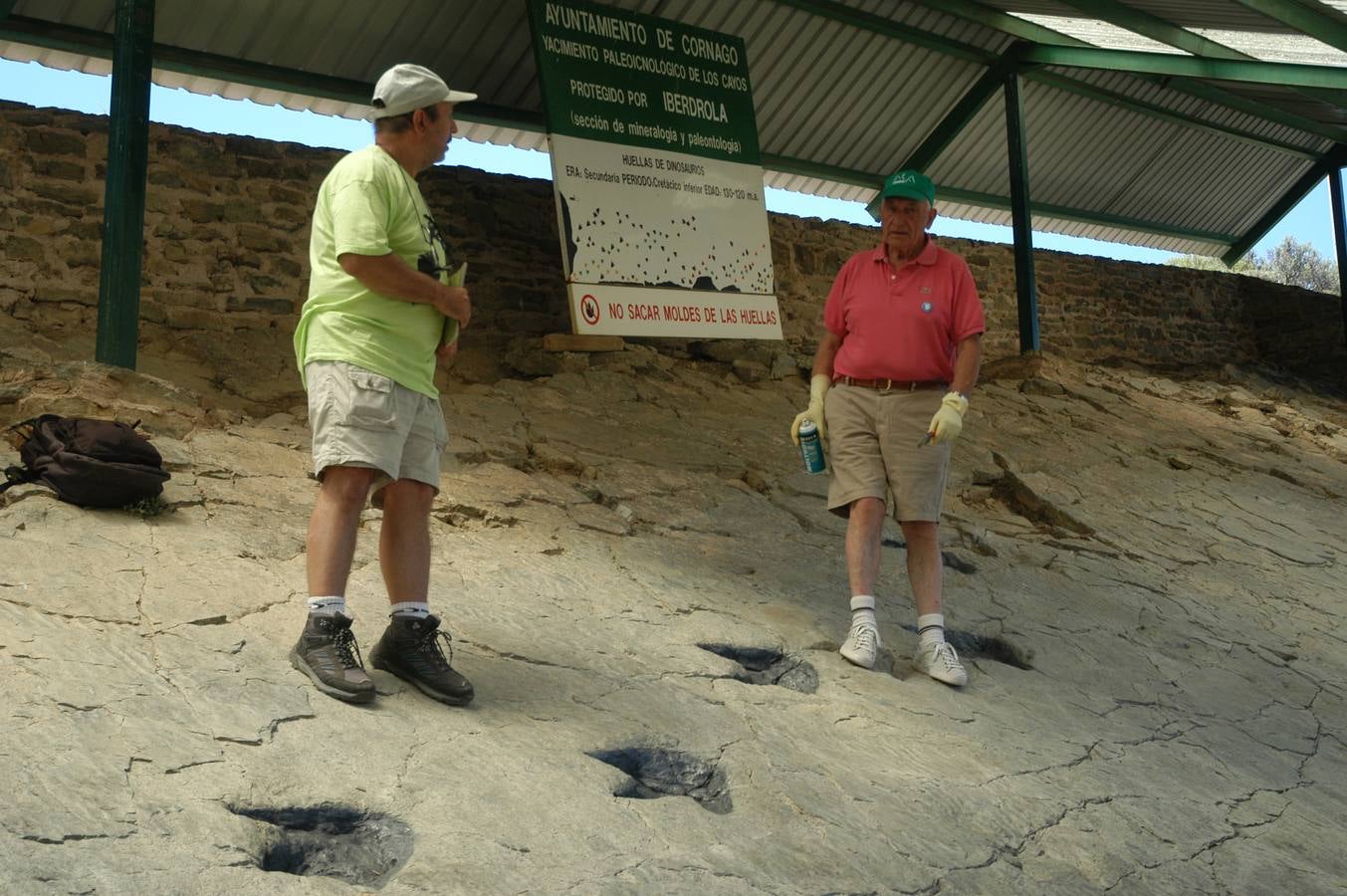 Jornada paleontológica en Cornago