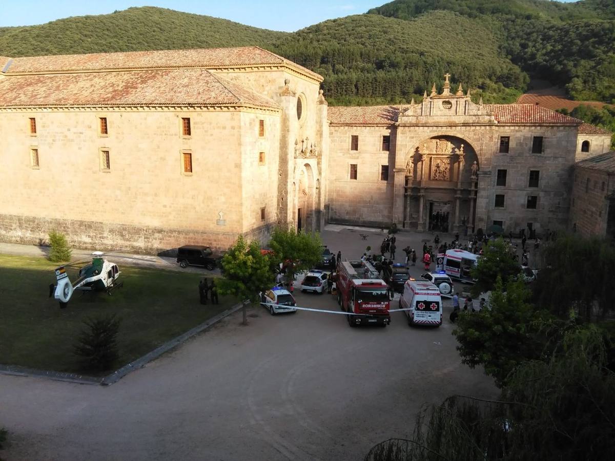 Olmos y Robles... ahora en San Millán
