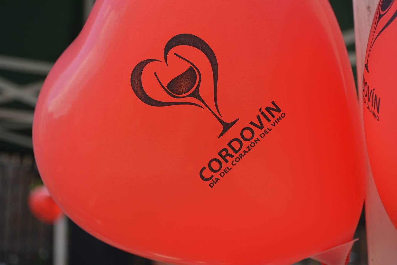 En el corazón del vino de Cordovín