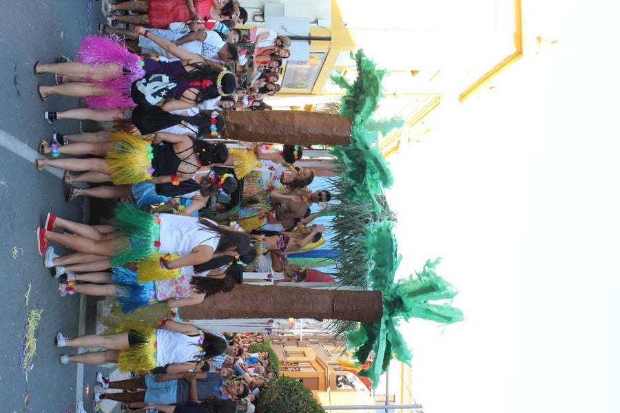 Desfile de carrozas en Rincón de Soto (I)