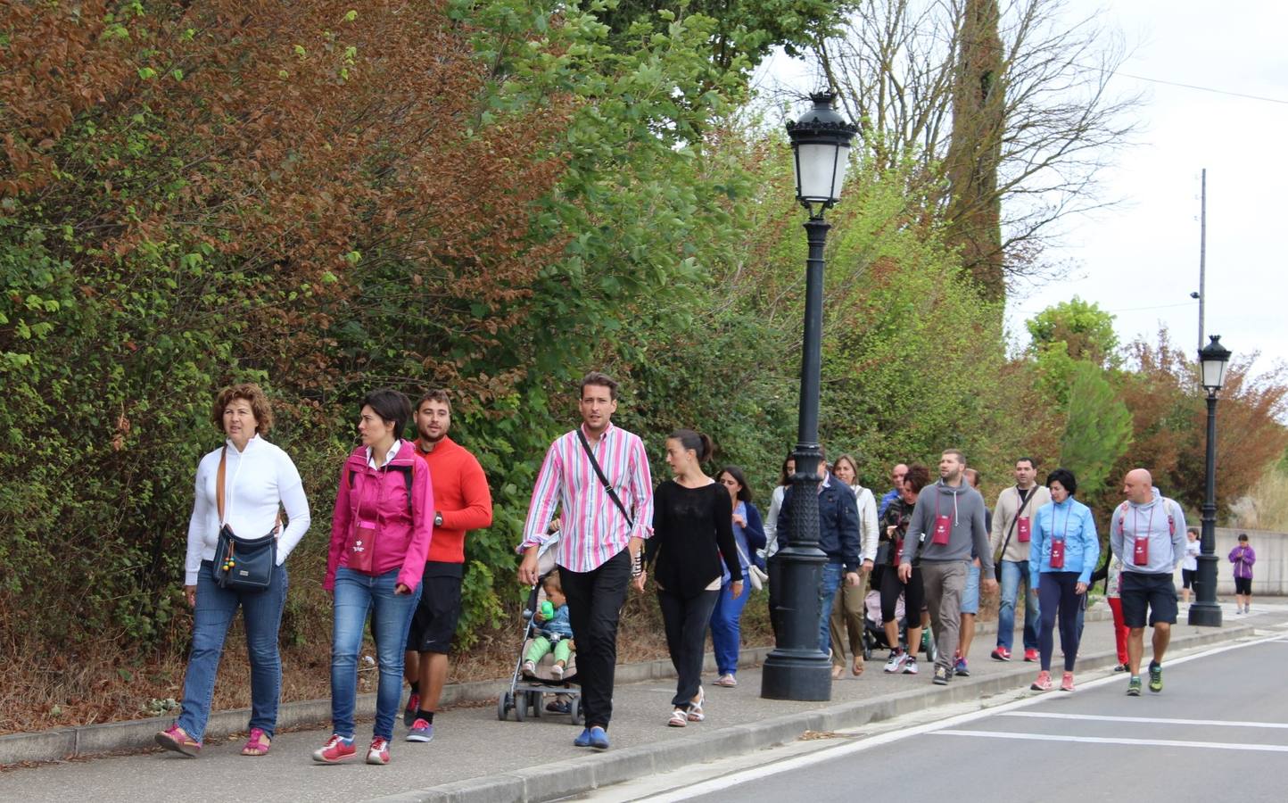 Las Noches de San Lorenzo en San Vicente de la Sonsierra