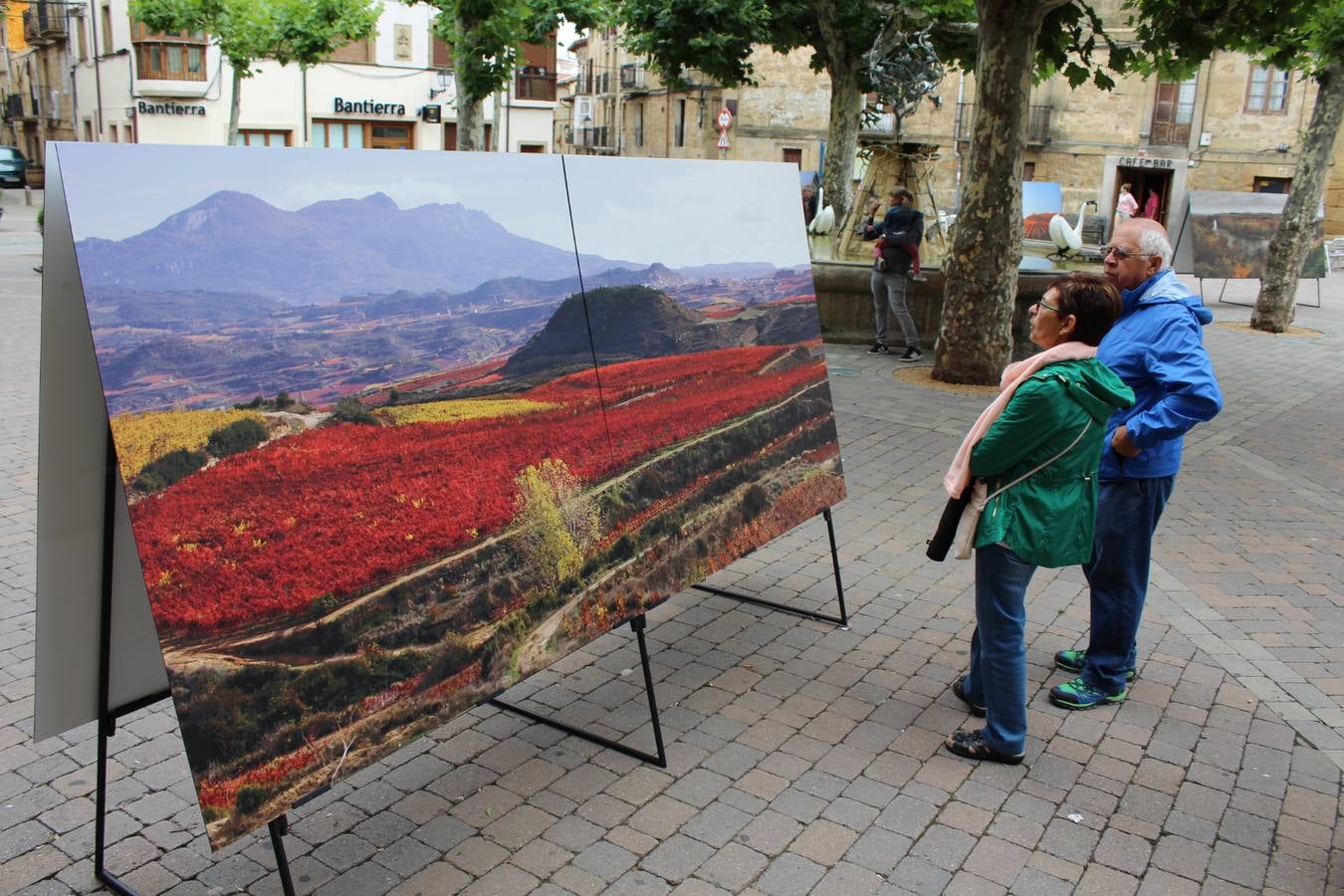 Las Noches de San Lorenzo en San Vicente de la Sonsierra