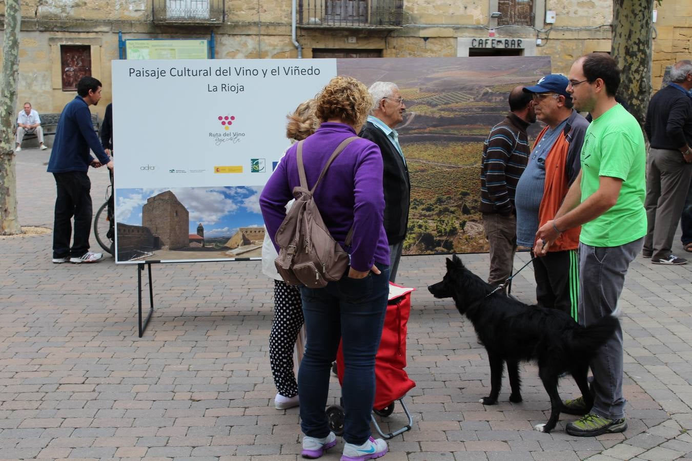 Las Noches de San Lorenzo en San Vicente de la Sonsierra
