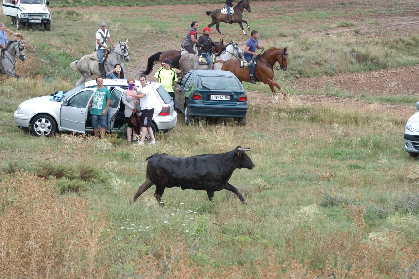 Entrada de vacas en Valverde