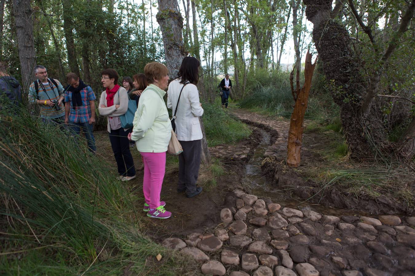 Vuelve &#039;Arte en la tierra&#039; a Santa Lucía