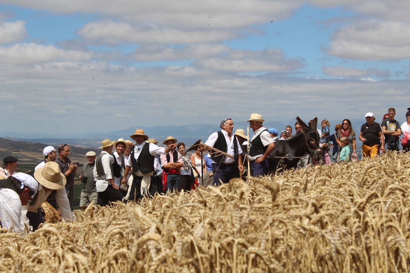 La molienda en el valle de Ocón