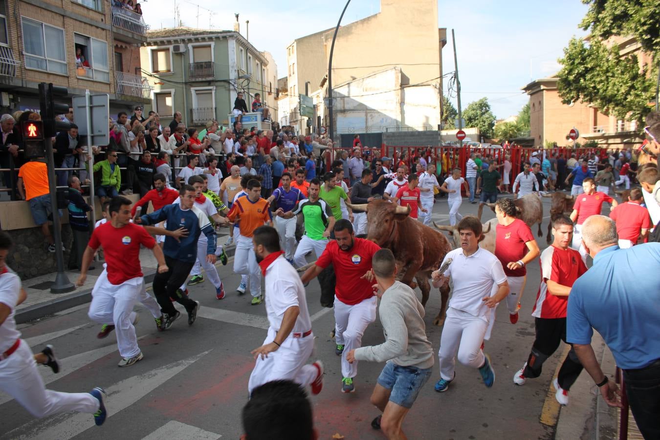 ¡Toros a mí!