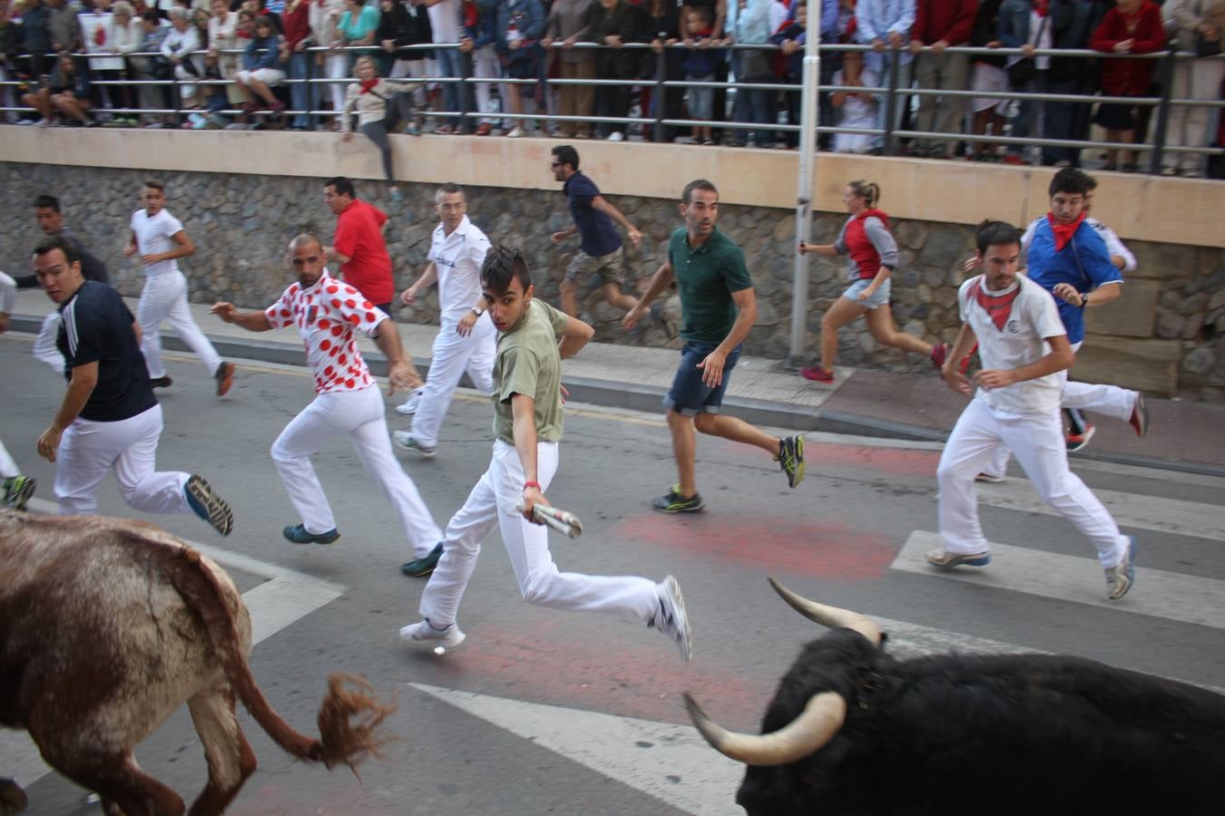 ¡Toros a mí!