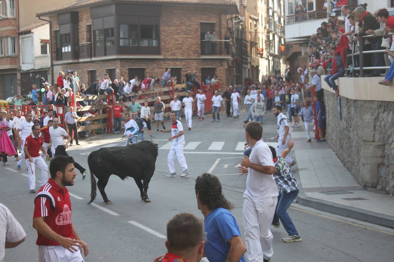 ¡Toros a mí!