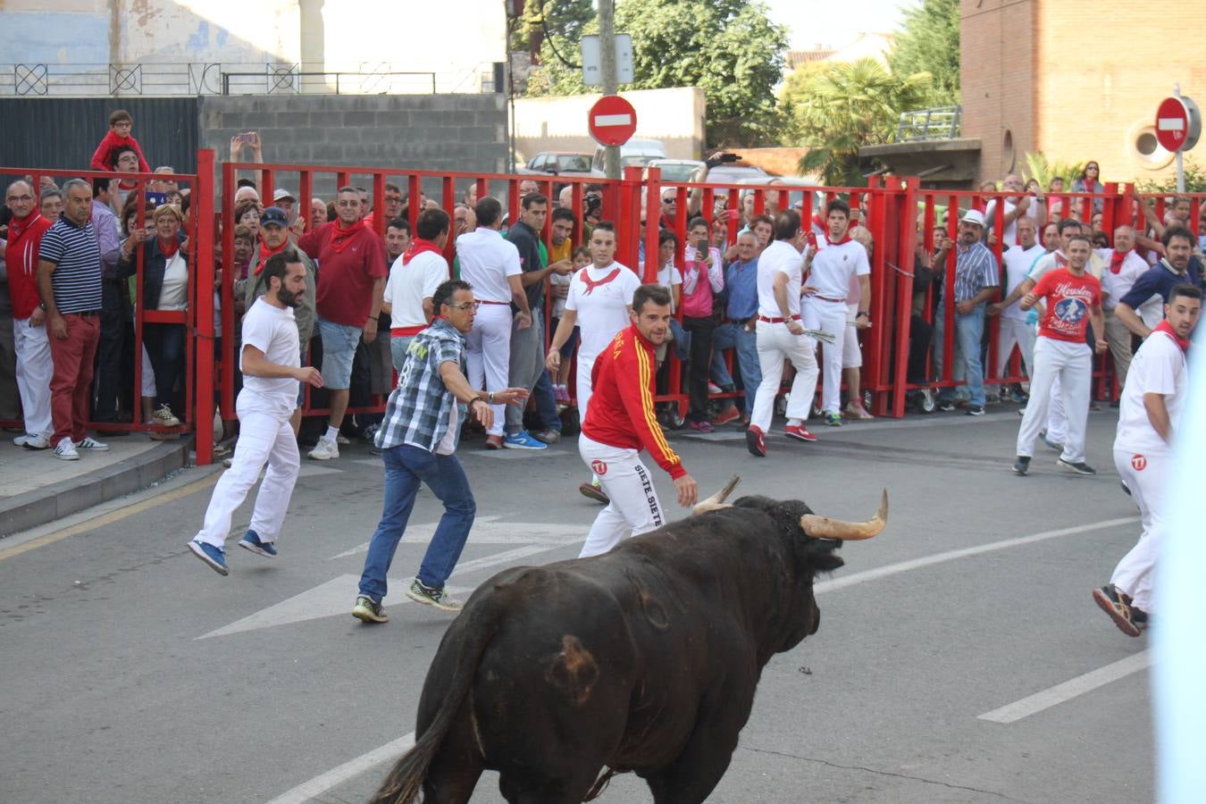 ¡Toros a mí!