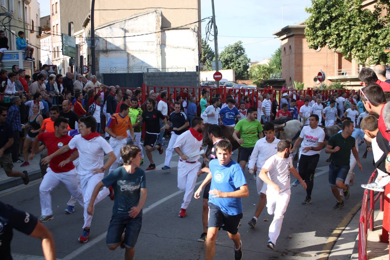 ¡Toros a mí!