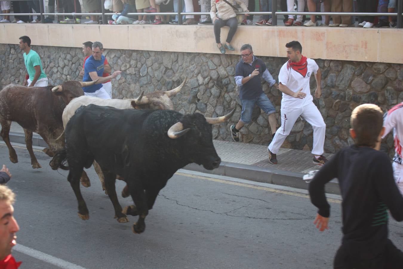 ¡Toros a mí!