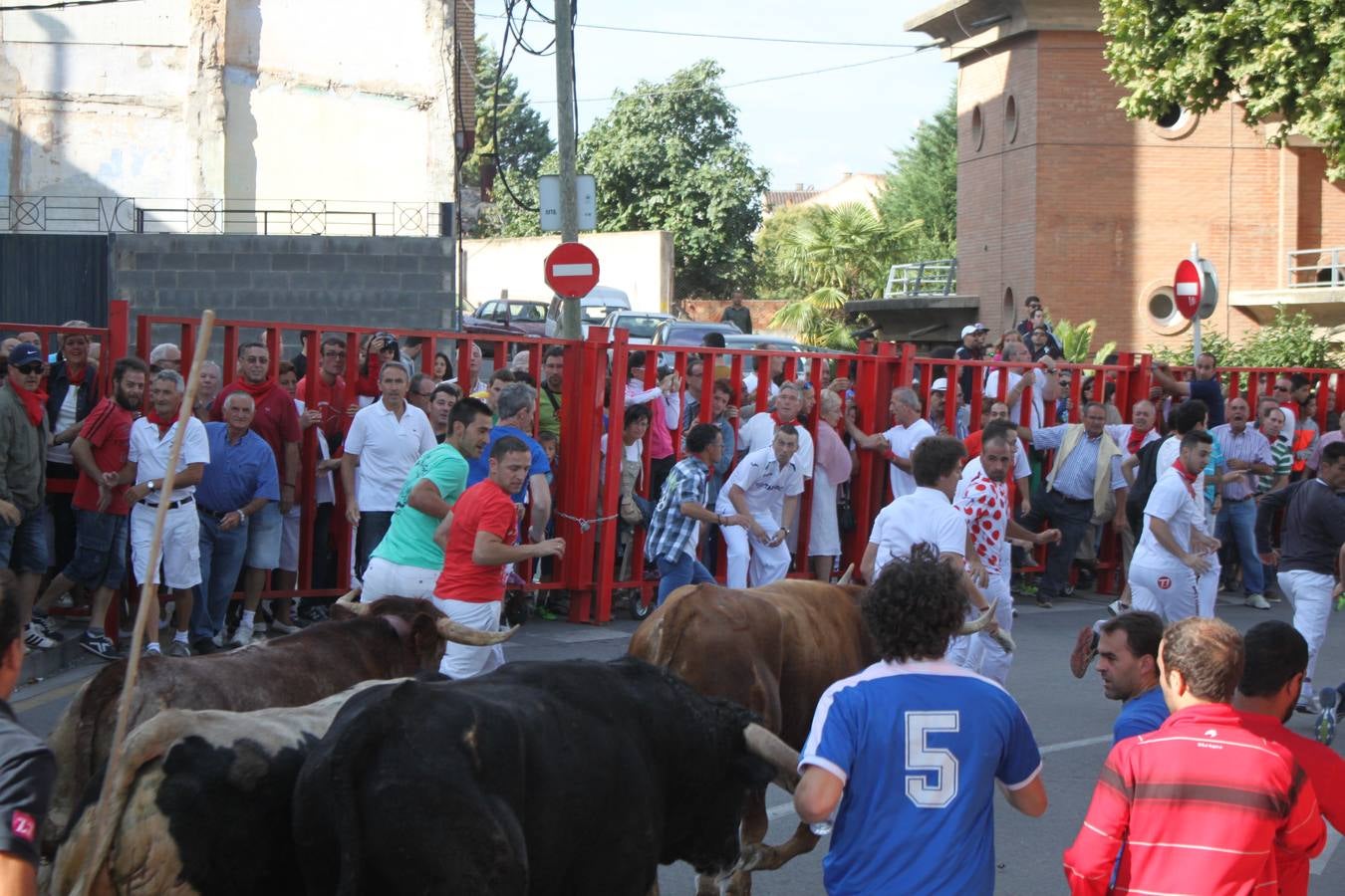 ¡Toros a mí!