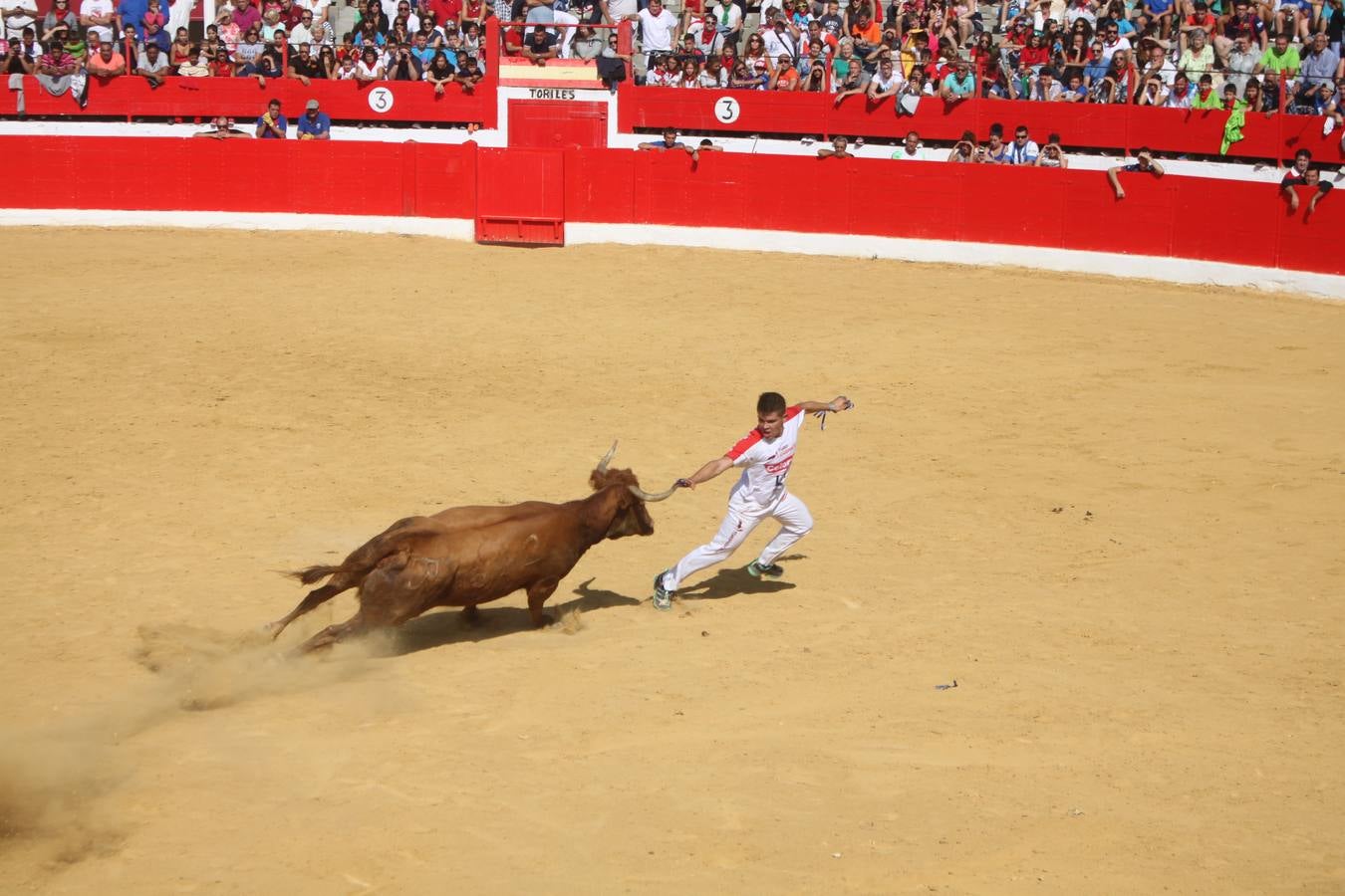 ¡Toros a mí!