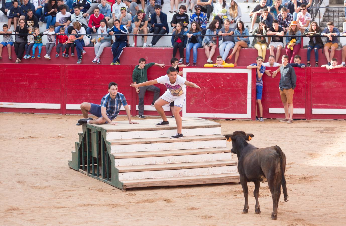 Sorteando vaquillas