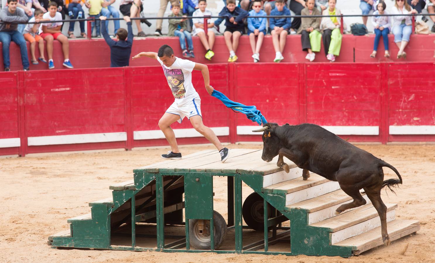 Sorteando vaquillas