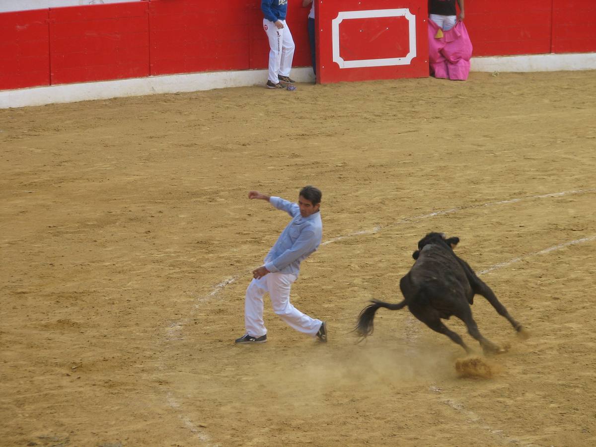 Los mayores centran el cuatro día de fiestas de Alfaro