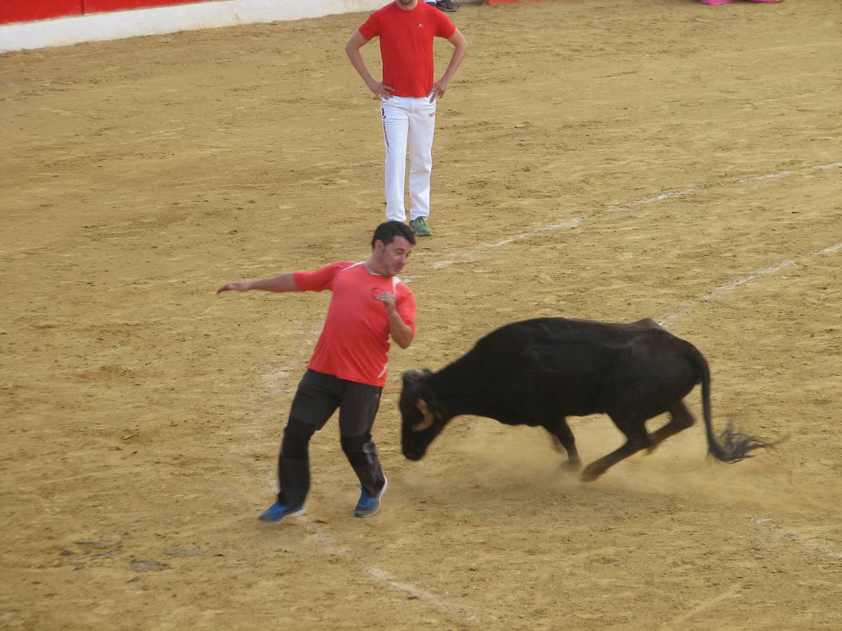 Los mayores centran el cuatro día de fiestas de Alfaro