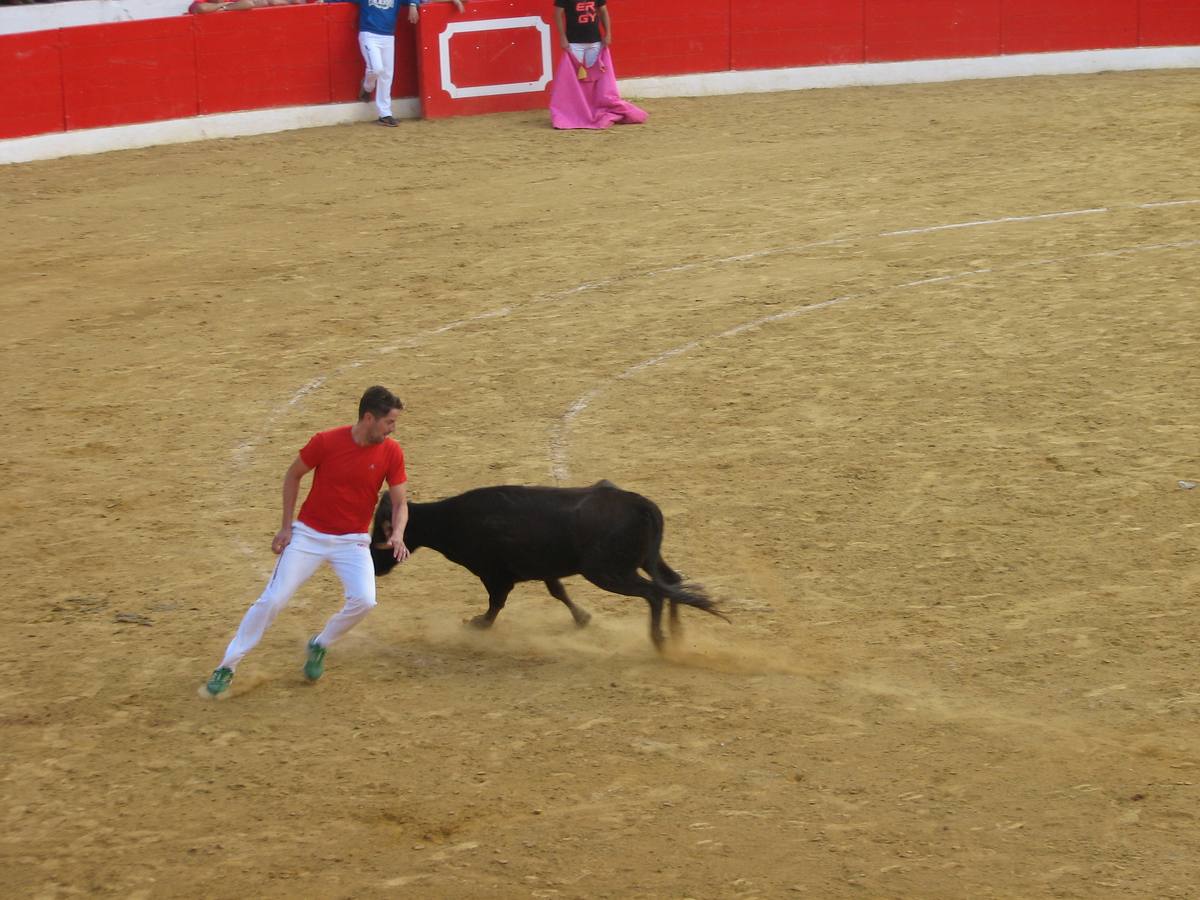 Los mayores centran el cuatro día de fiestas de Alfaro