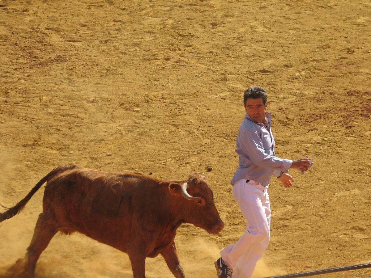 Los mayores centran el cuatro día de fiestas de Alfaro