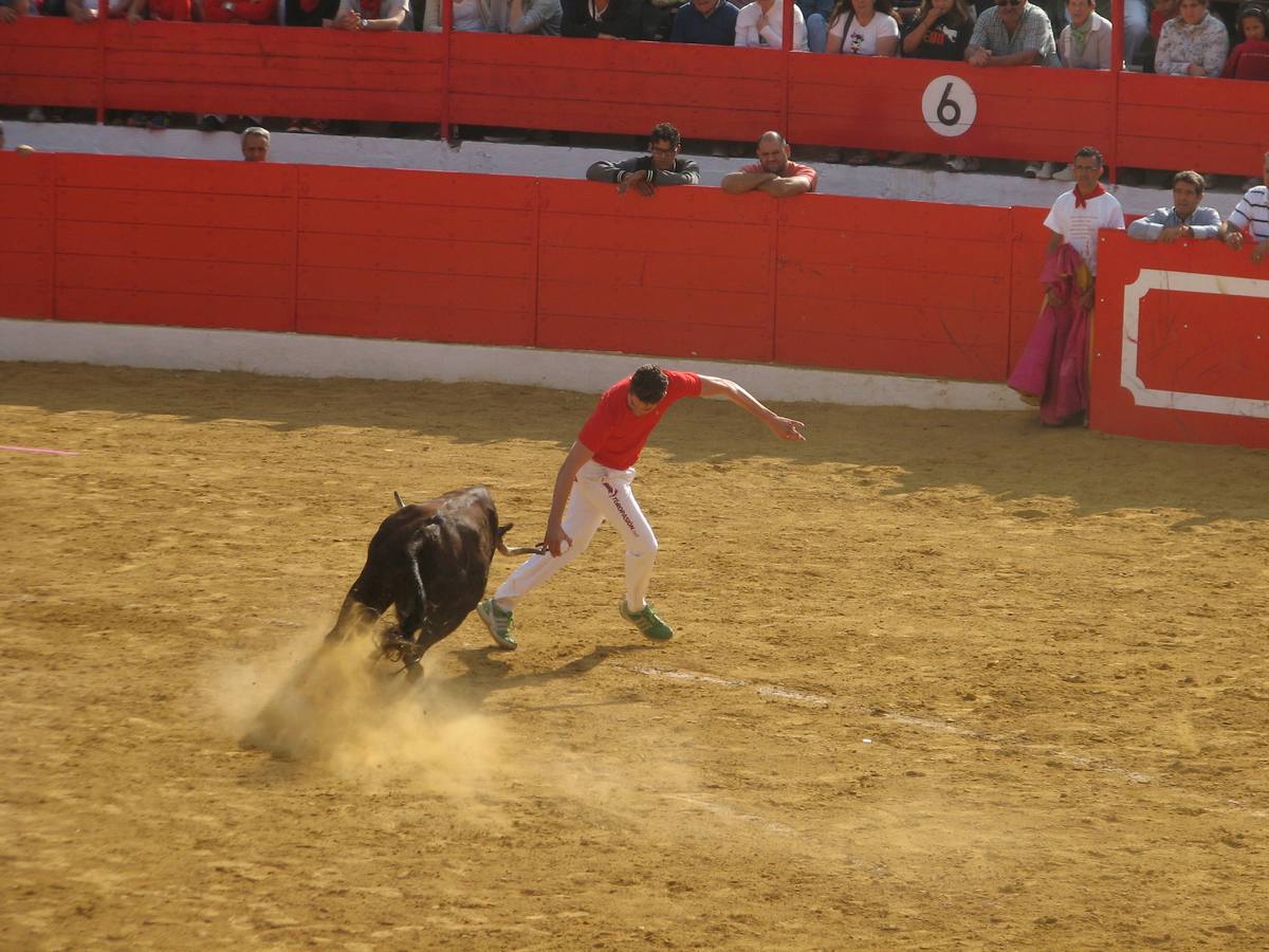 Los mayores centran el cuatro día de fiestas de Alfaro