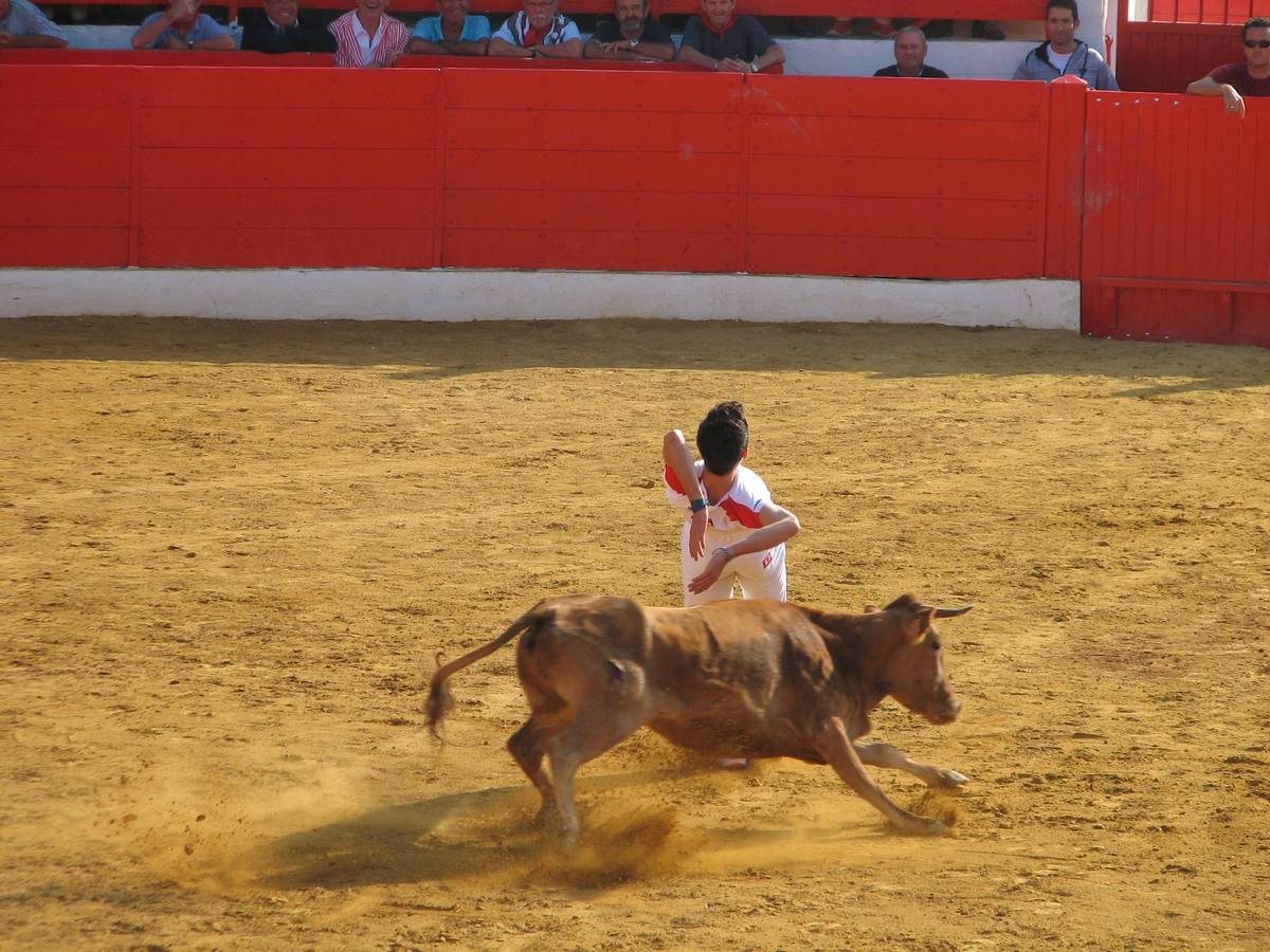 Alfaro dedica la jornada a las mujeres en su quinto día de fiestas