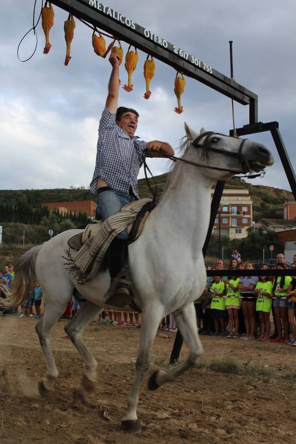 Los jinetes más &#039;gallitos&#039;