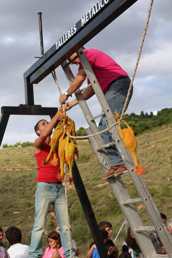 Los jinetes más &#039;gallitos&#039;