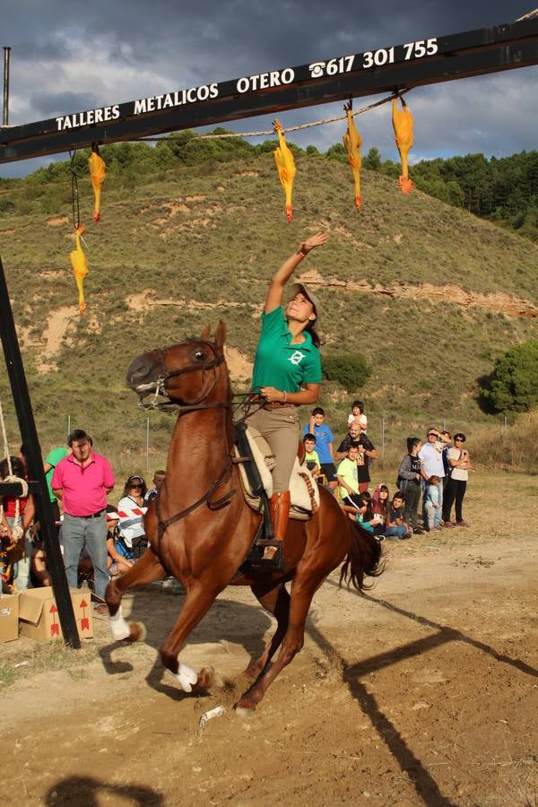 Los jinetes más &#039;gallitos&#039;