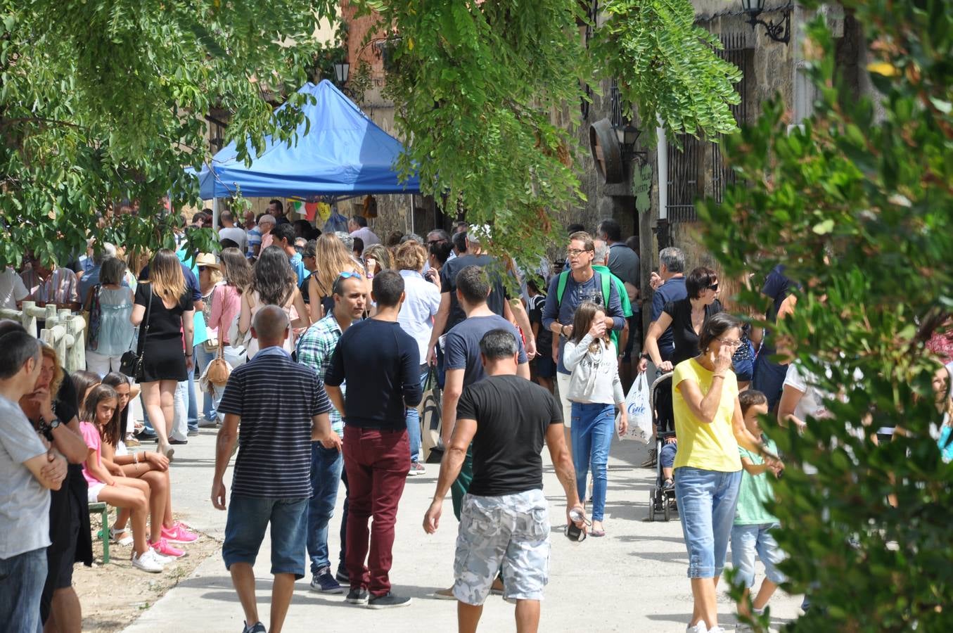 Día de los calaos en Rodezno