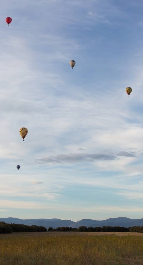 Globos en Haro (1)