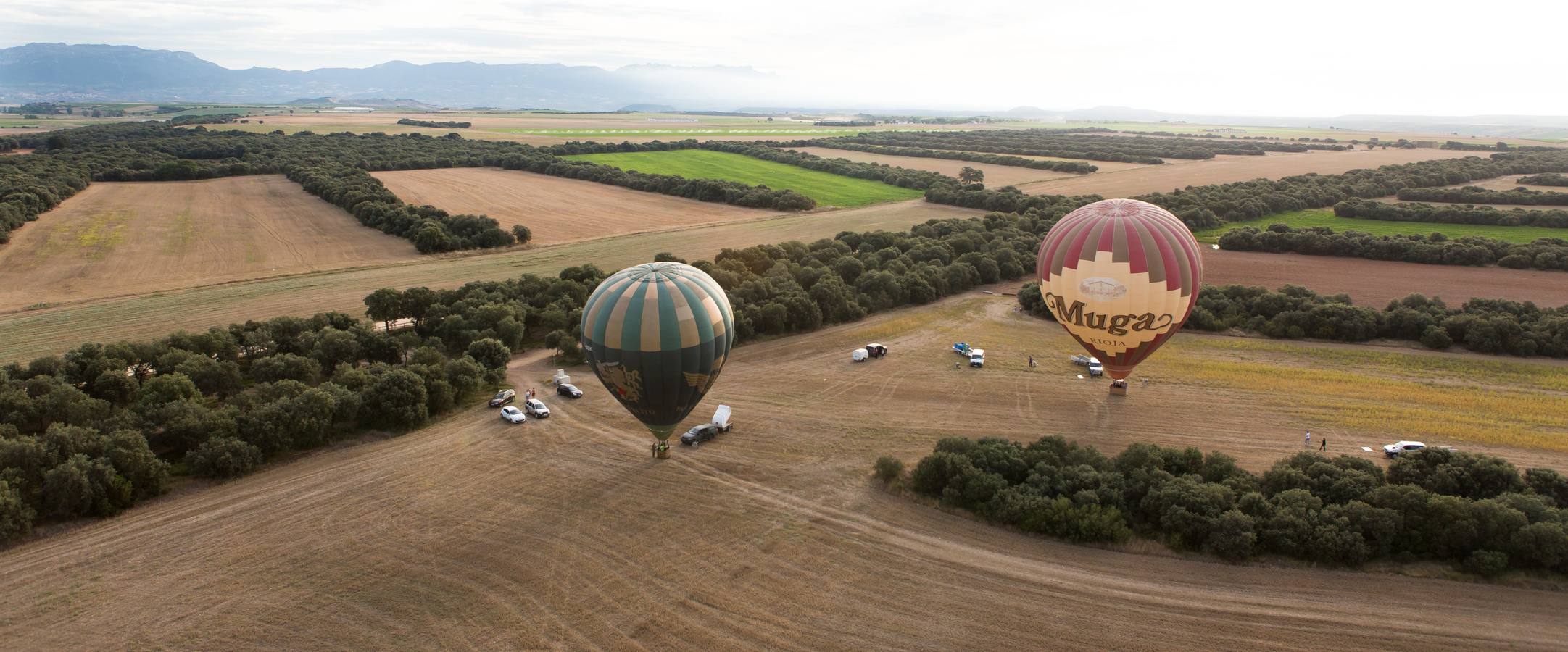 Globos en Haro (1)