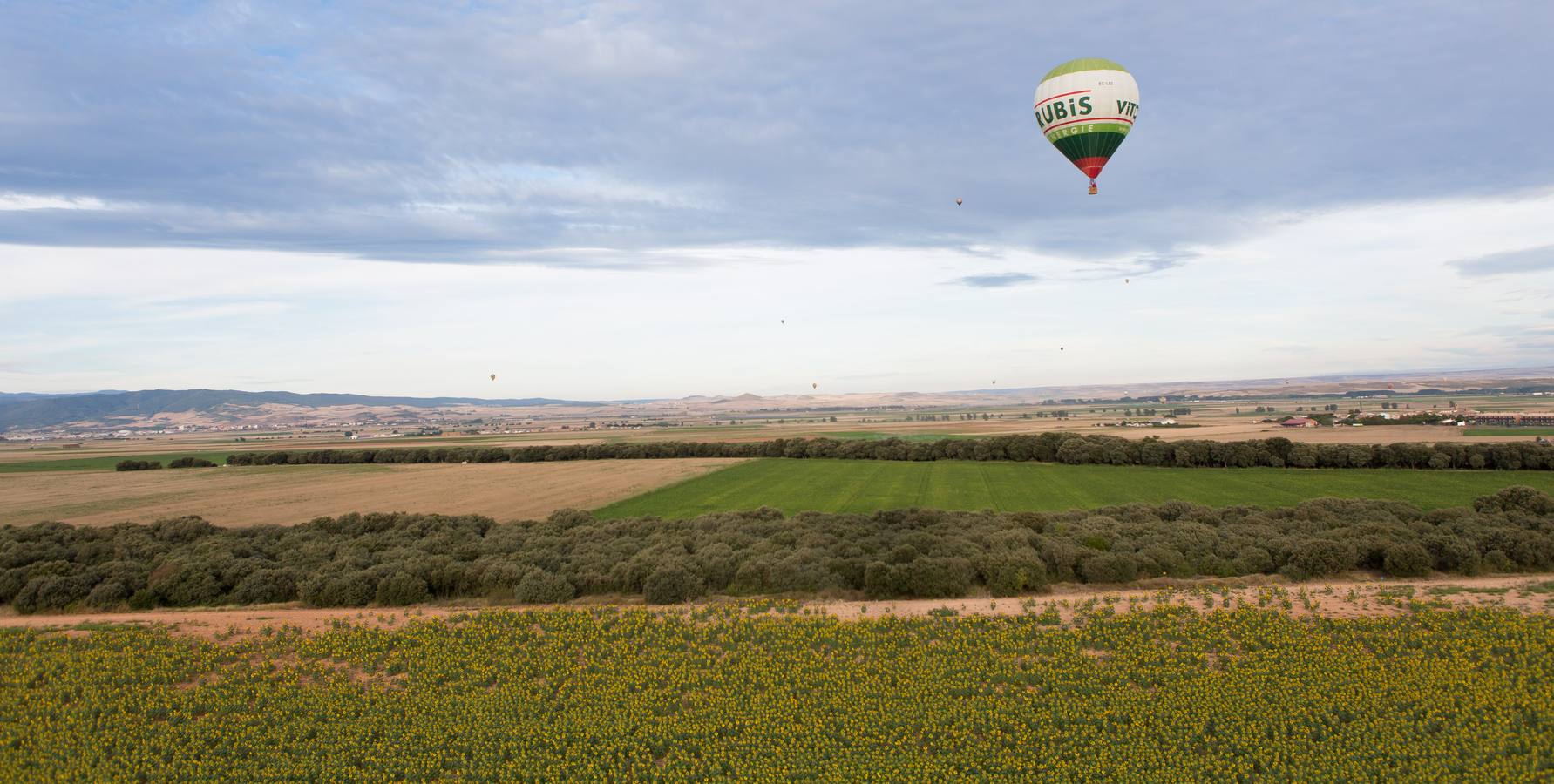 Globos en Haro (1)