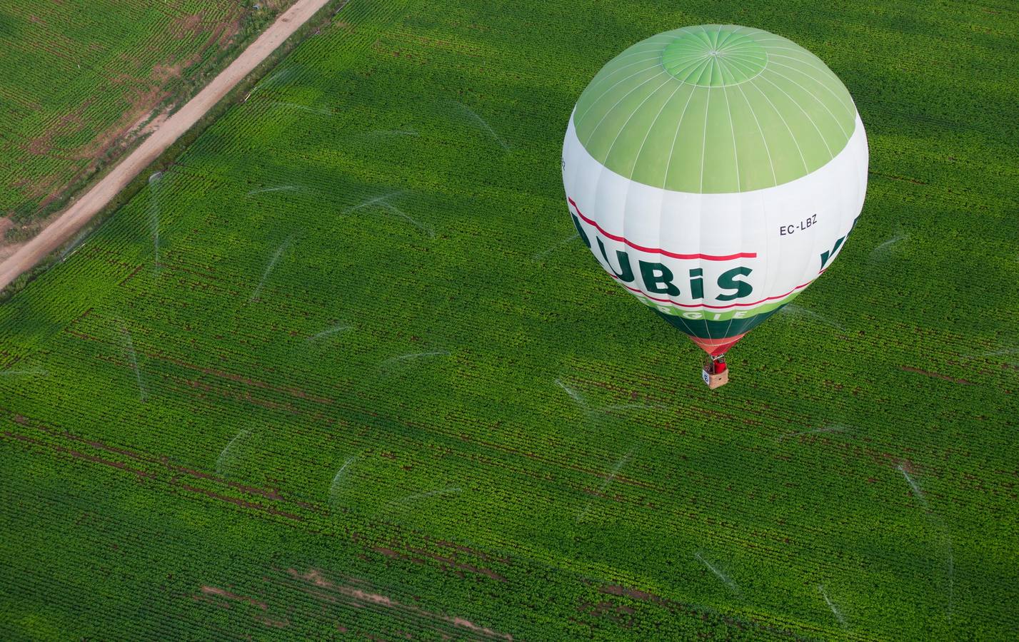 Globos en Haro (1)