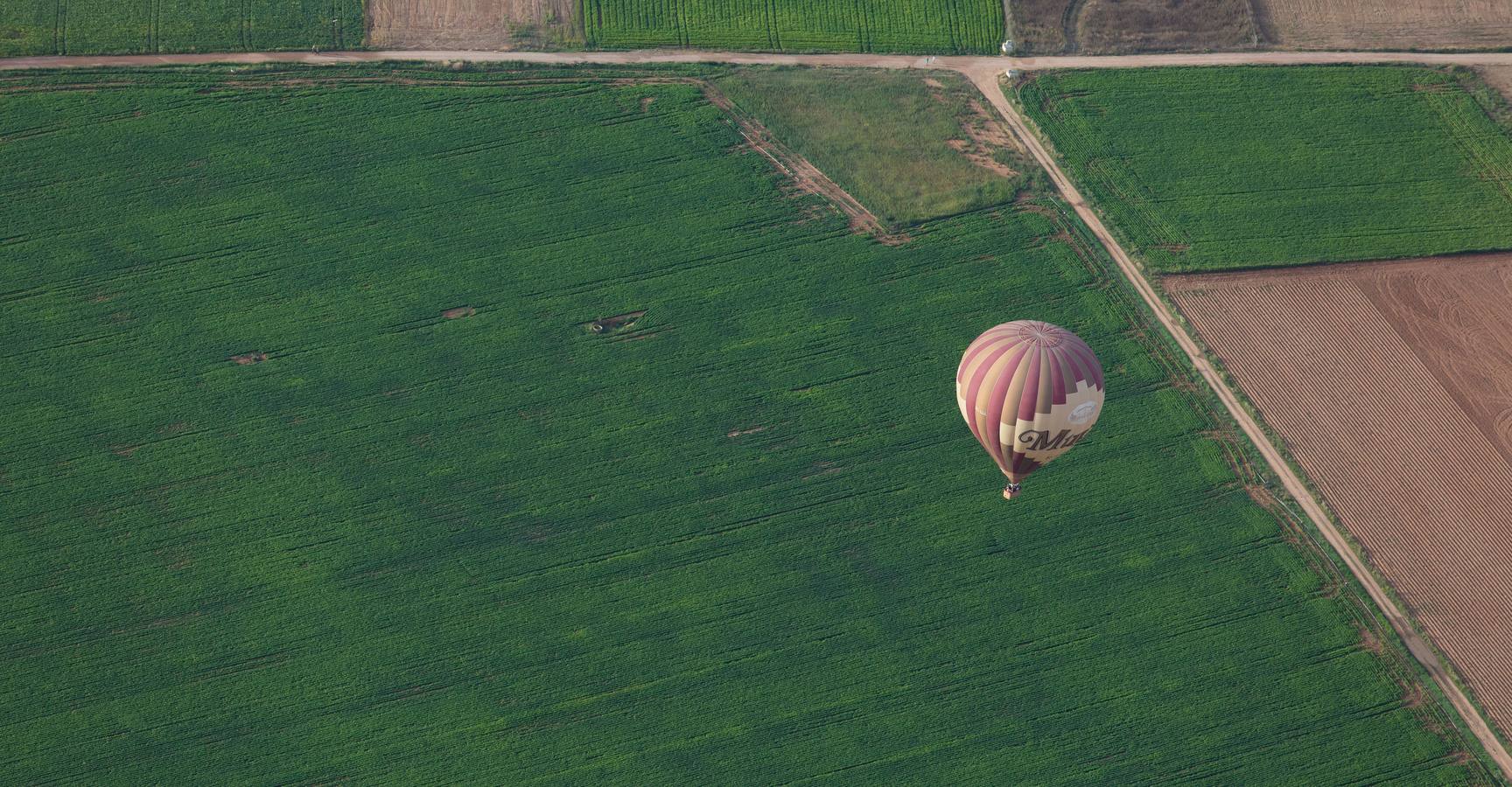 Globos en Haro (1)