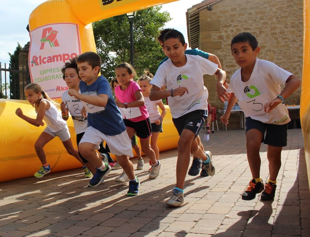 II Cross de Viñedos &#039;Villa de Ollauri&#039;