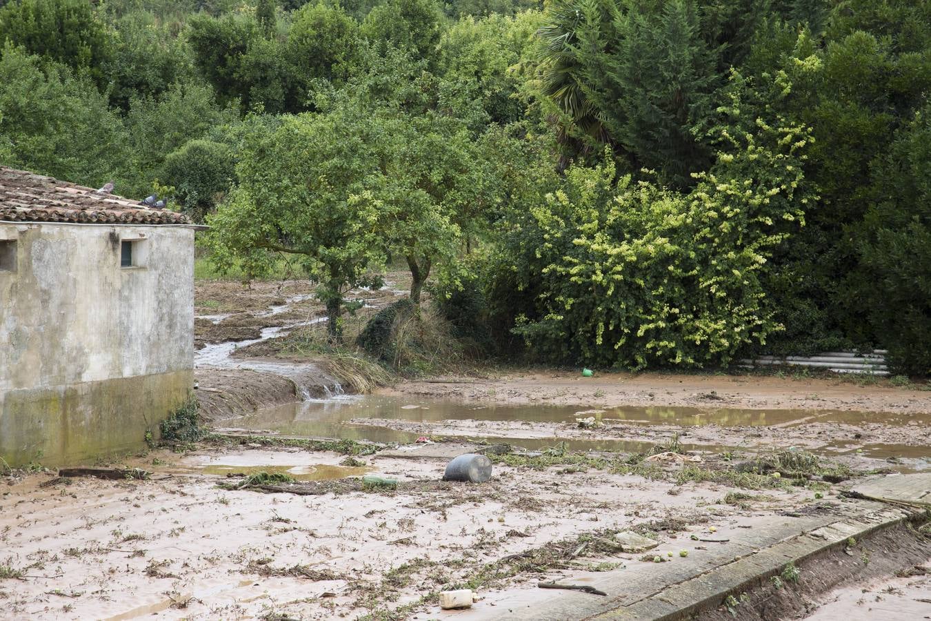 San Asensio despierta entre barro