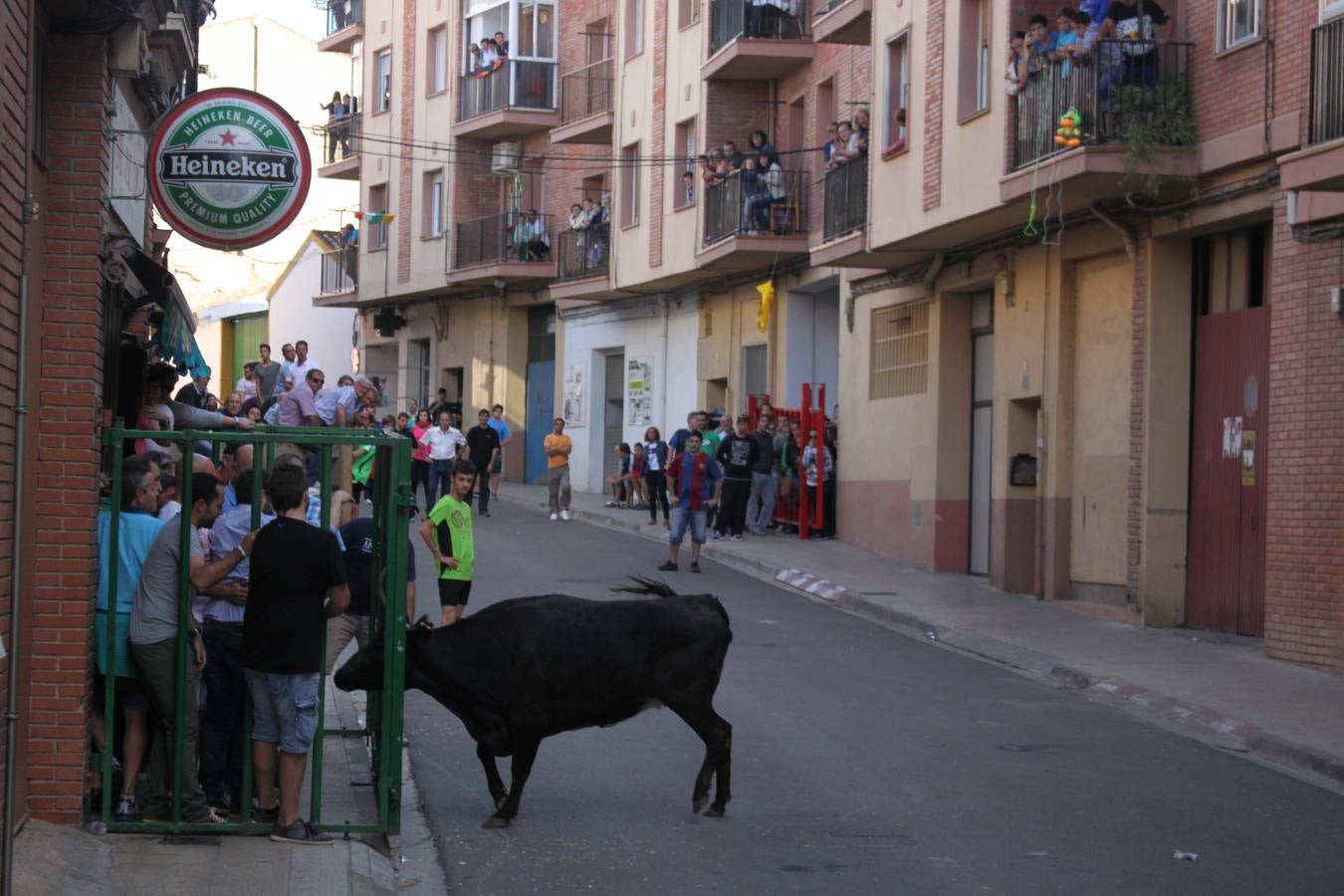 Segundo día de las Fiestas del Burgo de Alfaro