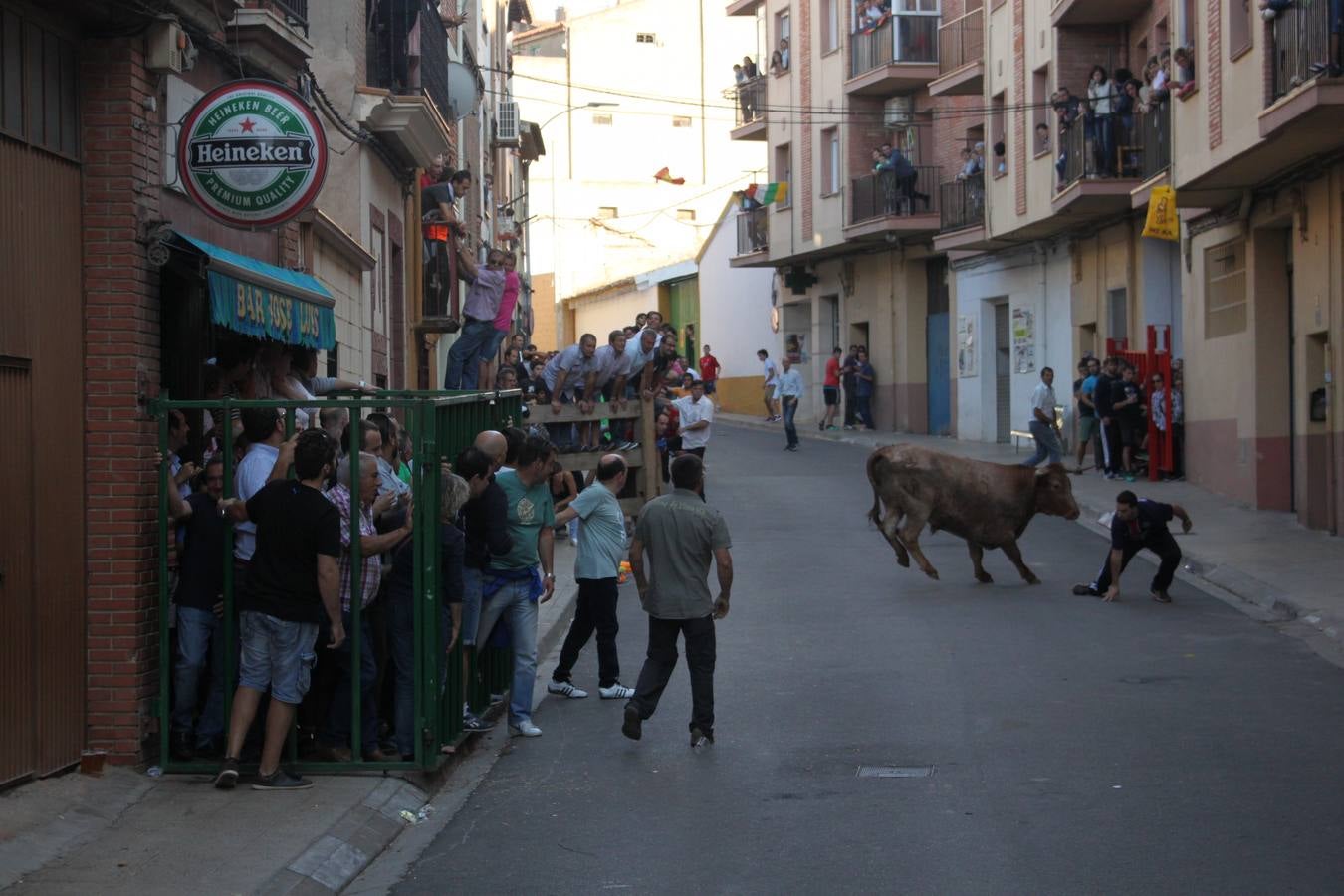 Segundo día de las Fiestas del Burgo de Alfaro