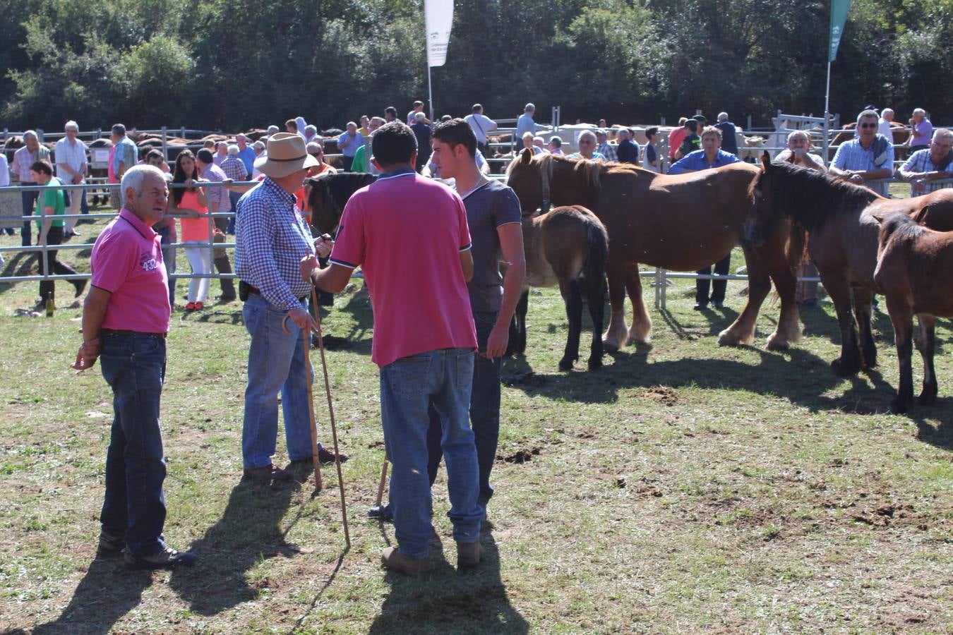 Villoslada de Cameros celebra su tradicional Feria de Ganado