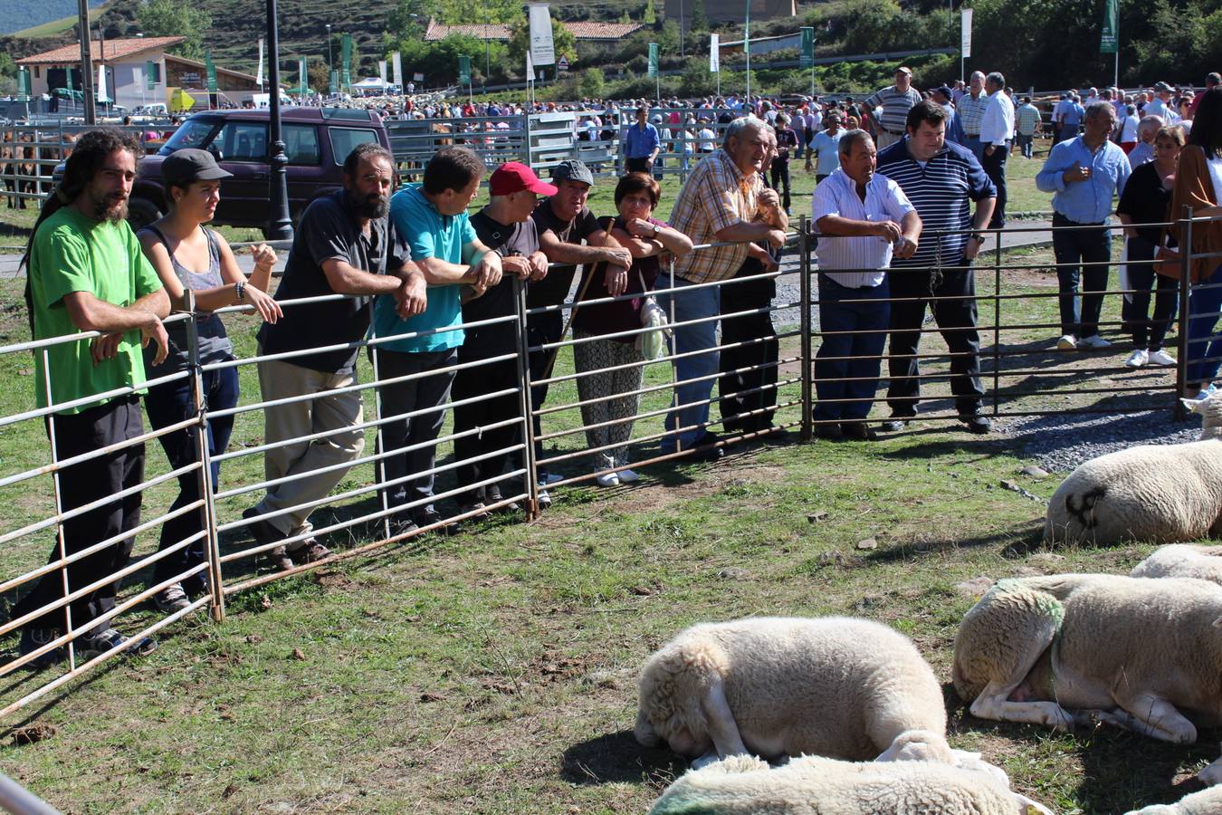 Villoslada de Cameros celebra su tradicional Feria de Ganado