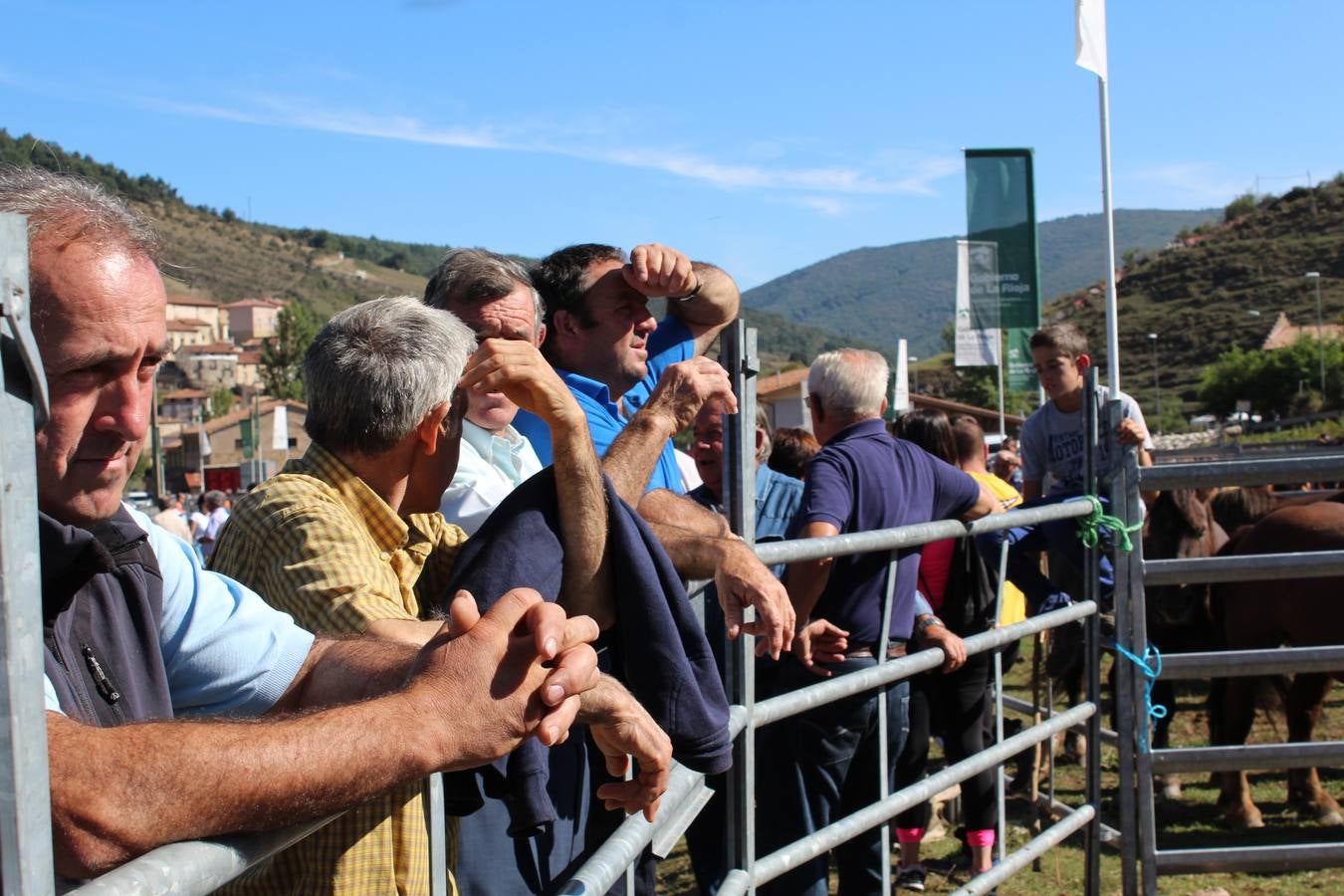 Villoslada de Cameros celebra su tradicional Feria de Ganado