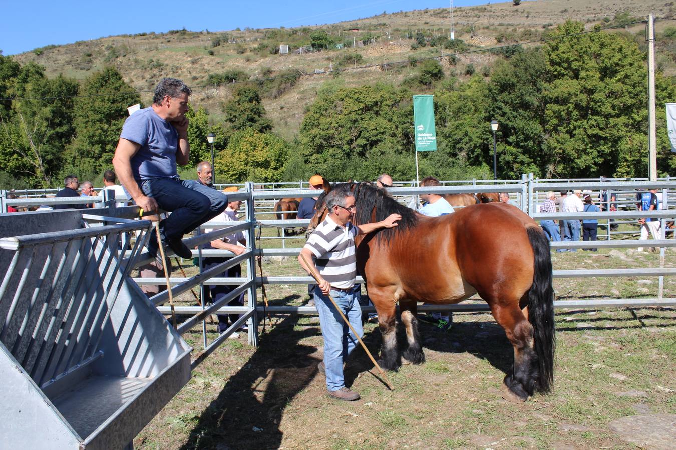 Villoslada de Cameros celebra su tradicional Feria de Ganado