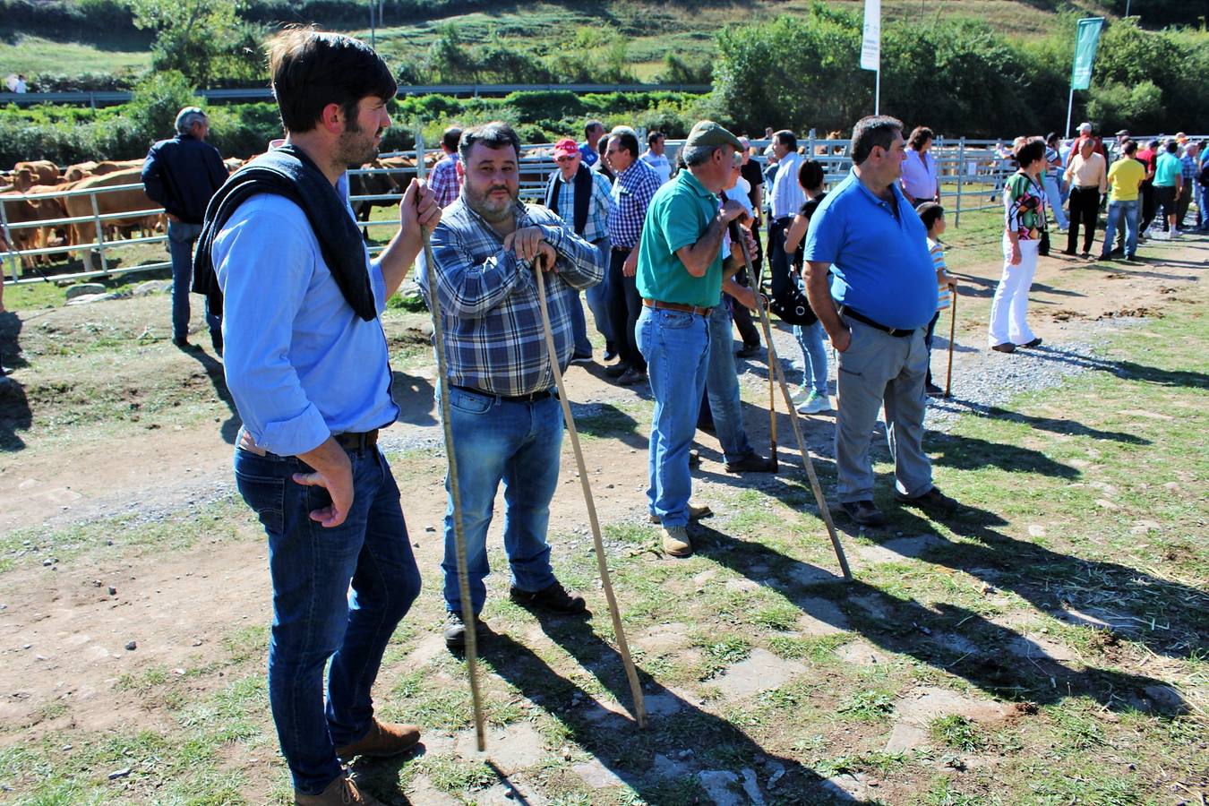 Villoslada de Cameros celebra su tradicional Feria de Ganado