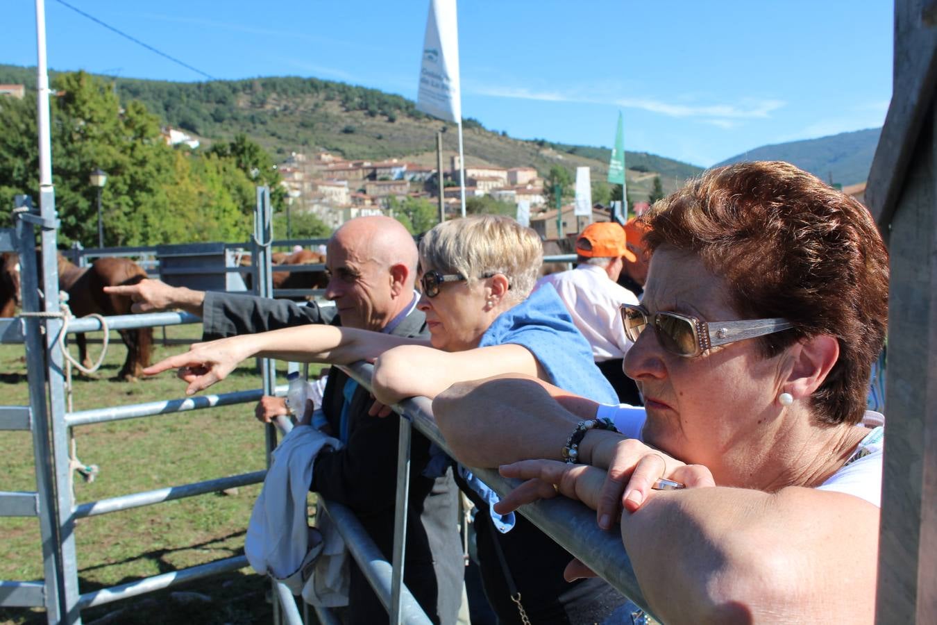 Villoslada de Cameros celebra su tradicional Feria de Ganado